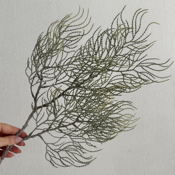 Cypress gren m/sne H 71 cm