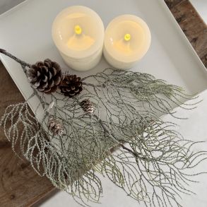 Cypress gren m/sne H 71 cm