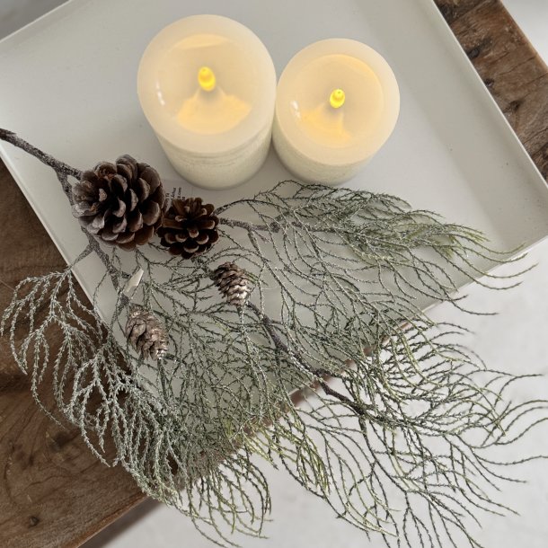 Cypress gren m/sne H 71 cm