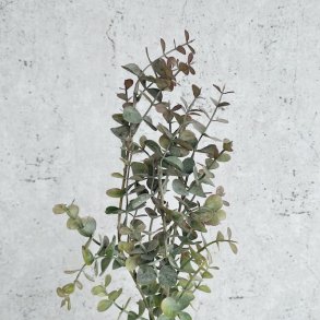 Eukalyptus gren 65 cm