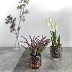 Lyng Lilla og vinrd nuancer