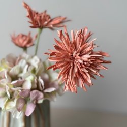 Georgine / Krysantemum stilke