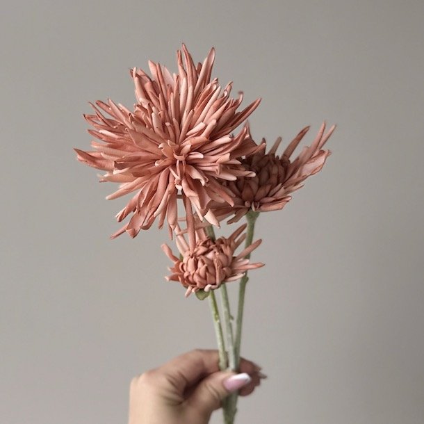 Georgine / Krysantemum stilke