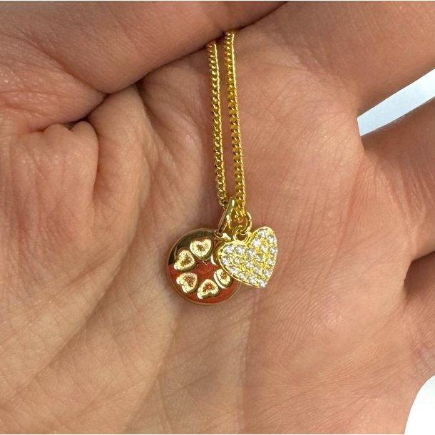 Ladies circle vedhng jubilum - forgyldt slv