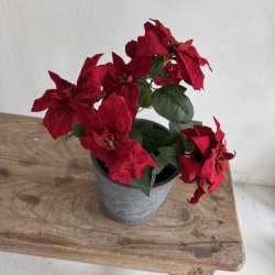 Julestjerne buket H 34 cm