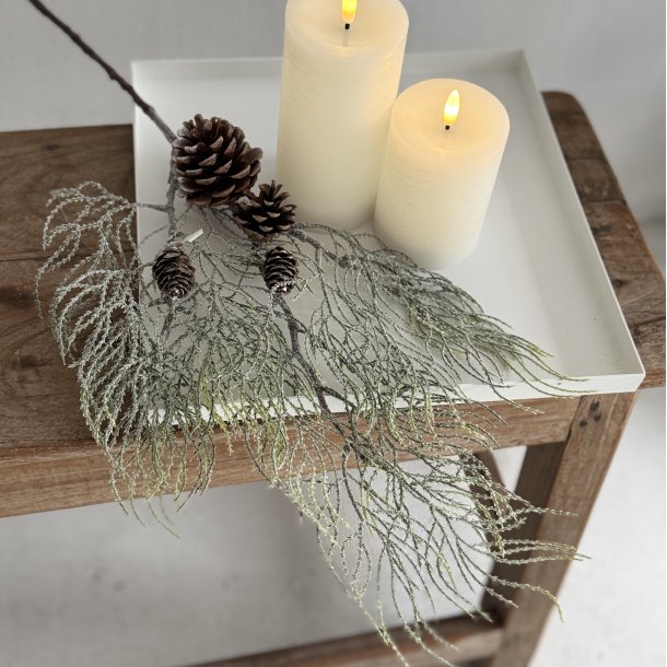 Cypress gren m/sne H 71 cm