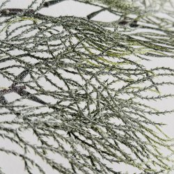 Cypress gren m/sne H 71 cm