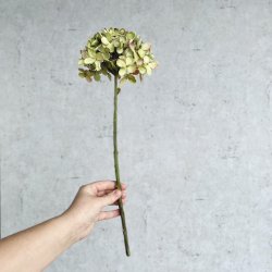 Romantisk hortensia 43cm