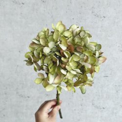 Romantisk hortensia 43cm