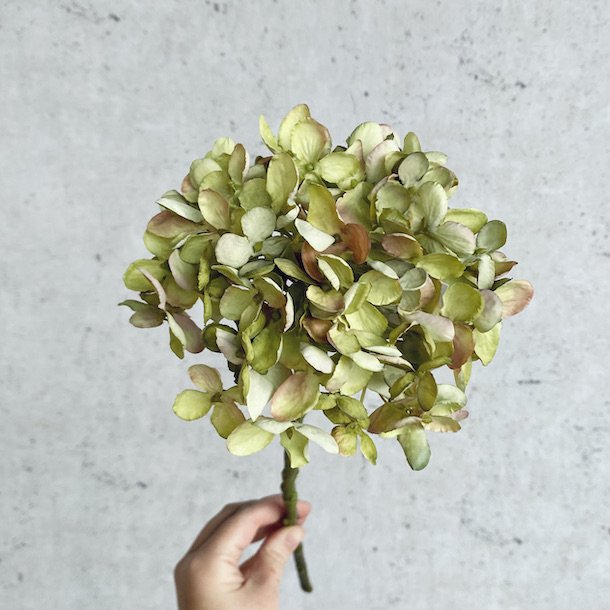 Romantisk hortensia 43cm