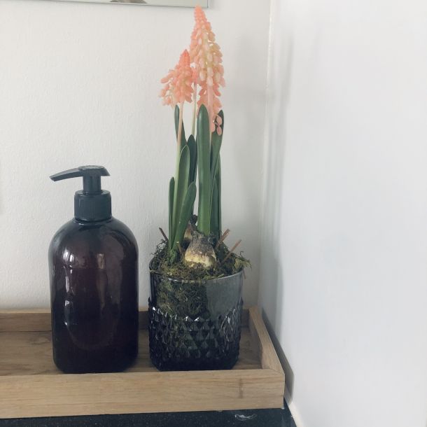 Perlehyacint p mos 25 cm