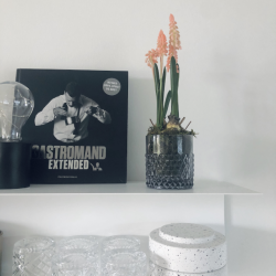 Perlehyacint p mos 25 cm