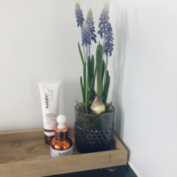 Perlehyacint p mos 25 cm