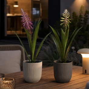 Gr�n plante med blomst i potte H 35 cm