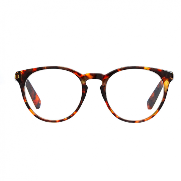 Torino Brown lsebrille +, -
