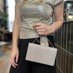 Aftentaske zebra shine