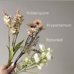 Ranunkel / Krysantemum / Ridderspore stilke