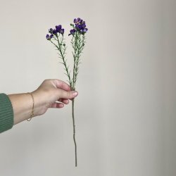 Blomster stilk  40 cm