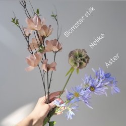 Aster tataricus / Nellike / Blomster stilk