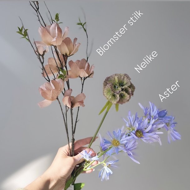 Aster tataricus / Nellike / Blomster stilk