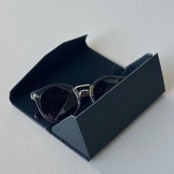 Foldbart brilletui hardcase sort