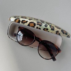 Brilleetui hardcase metallic leo