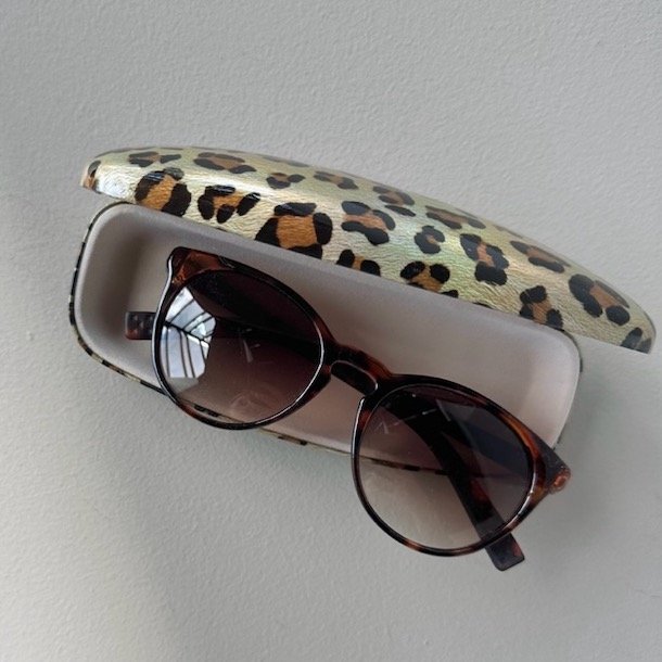 Brilleetui hardcase metallic leo