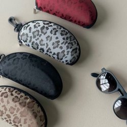 Brilleetui stort hardcase 