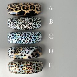 Brilleetui hardcase metallic leo