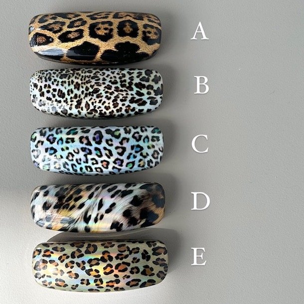 Brilleetui hardcase metallic leo