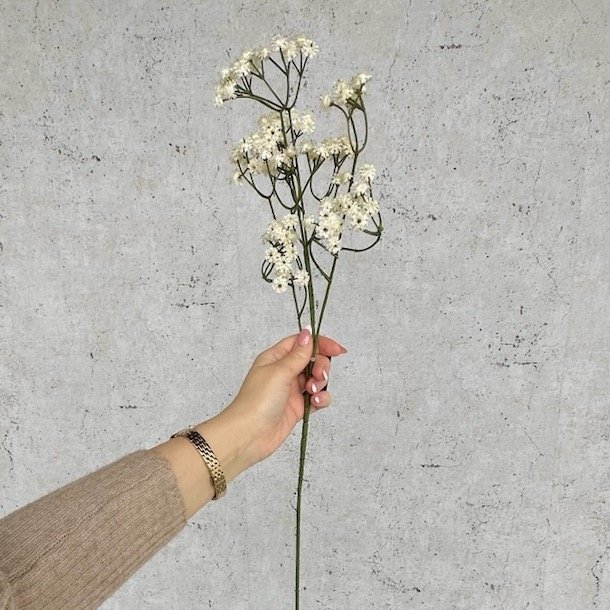 Brudeslr hvid H 60 cm