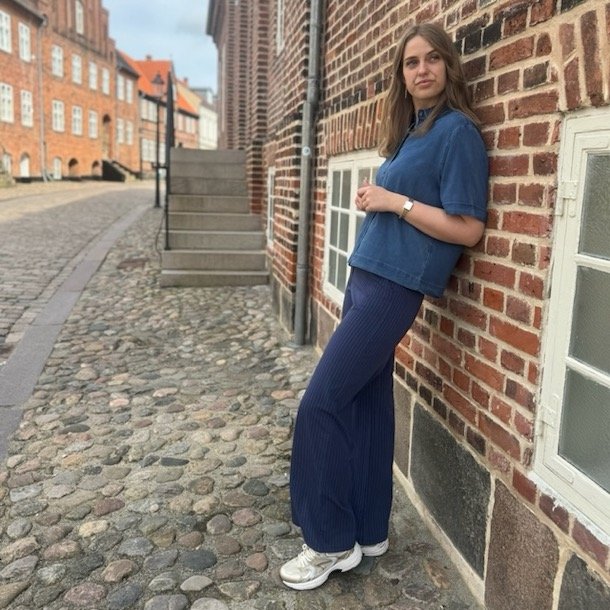 Bukser PINSTRIPE str. S-L