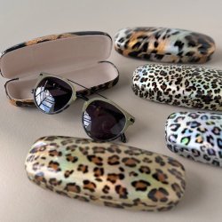 Brilleetui hardcase metallic leo