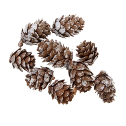 Deko kogler natur/guld