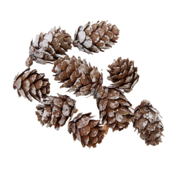 Deko kogler natur/guld