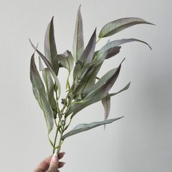 Eukalyptus stilk 70cm