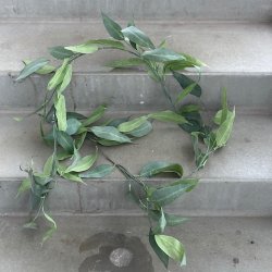 Eukalyptus guirlande L 190 cm