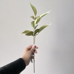 Eukalyptus stilk H 38cm