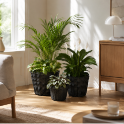 Plantekurve udend�rs rattan - s�t af 3 
