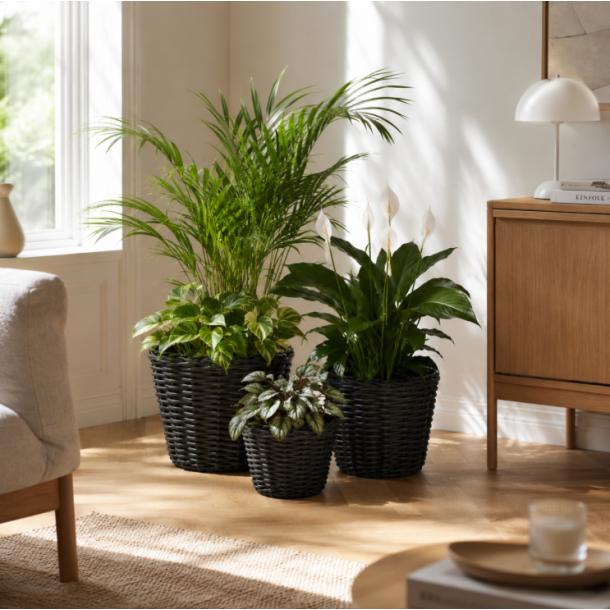 Plantekurve udend�rs rattan - s�t af 3 
