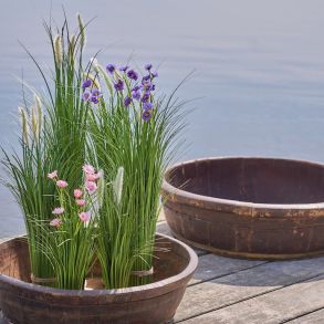 Gr�s med blomst lilla - udend�rs H 76 cm