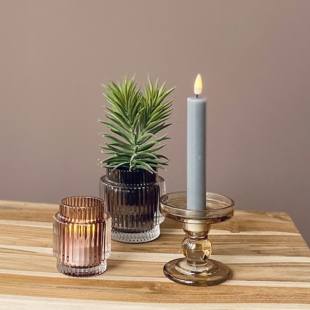 Sukkulent i potte H 17 cm