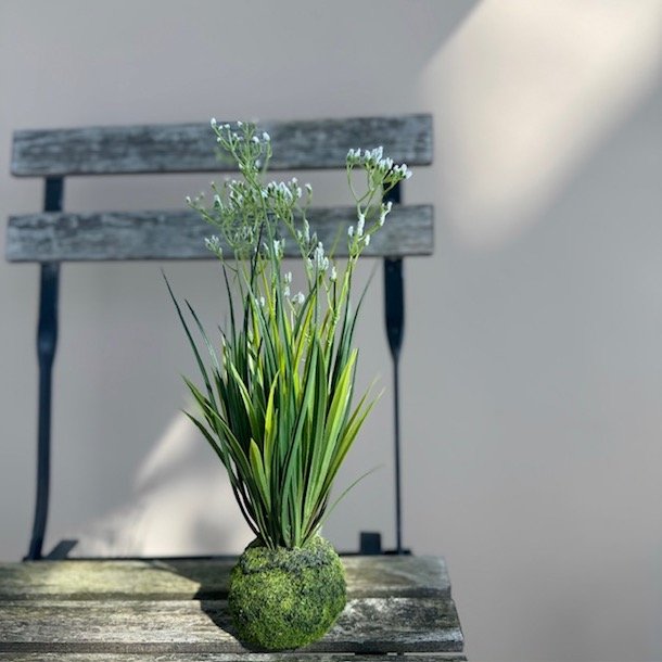 Plante m/blomster H 30cm