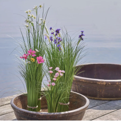 Gr�s med farverige blomster - udend�rs H 58 cm