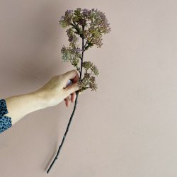 Gren med br 48 cm lilla