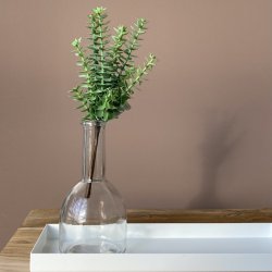 Sukkulent grn H 20 cm