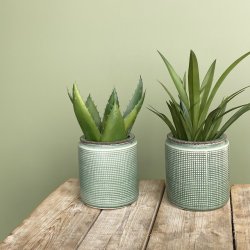 Potteskjuler keramik  12 x 12 cm