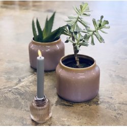 Huslg 4 hoveder i potte