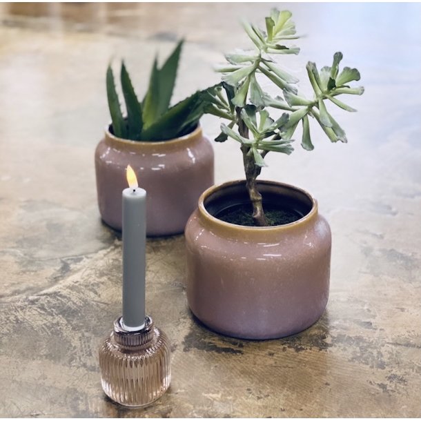 Huslg 4 hoveder i potte