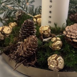 Deko kogler natur/guld